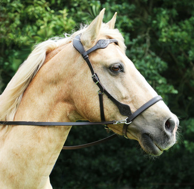 Dandy Sidepull in Dark Brown Leather