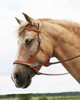 Dandy Sidepull in Tan Leather 
(NOTE: reins shown are the "Dallas" Leather split reins, see Related Products below) The Dandy bridle comes standard with plain continuous leather reins in the matching leather colour.