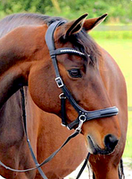 "Rebecca" Side-pull Leather Bridle