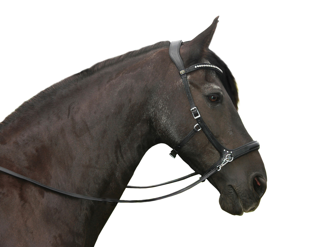 Rebecca Bitless Leather Bridle Equinnovations