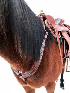 The "pulling collar" advantage allows for full freedom of movement in your horse's shoulders. Note how the straps criss-cross over the pommel & on either side of the horn for optimal placement of the collar in the horse's neck groove. For particularly large horses, not criss-crossing the straps will afford several more inches in length.