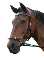 "Caval" Bitless Hackamore doubles as a training Cavesson
