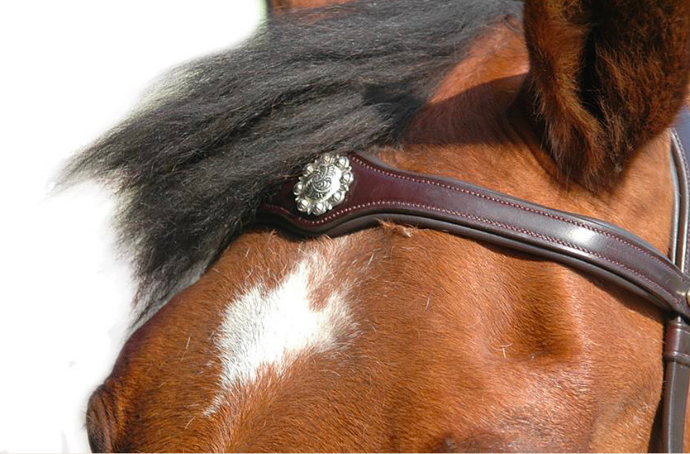 Hackamore Sans Mors (Bosal) En Cuir Brut - Bride 1 Oreille Et Rênes - Style Vintage