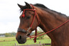 Ruchi color Red/Green "C" with matching reins ("Fiore" noseband shown is not included)