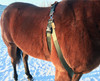 Bareback Mounting Aid drapes over your horse's back with optional cushioned wither pad positioned on wither for adequate support of the spine.