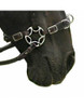 Detail showing connetion to headstall & reins