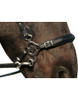 Detail of Calli Hackamore noseband connection to headstall