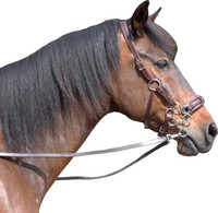 Babia Rope Halter - Equinnovations