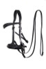 Comes complete with soft leather continuous reins