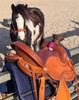 Pictured here with the EDIX Django Treeless Saddle