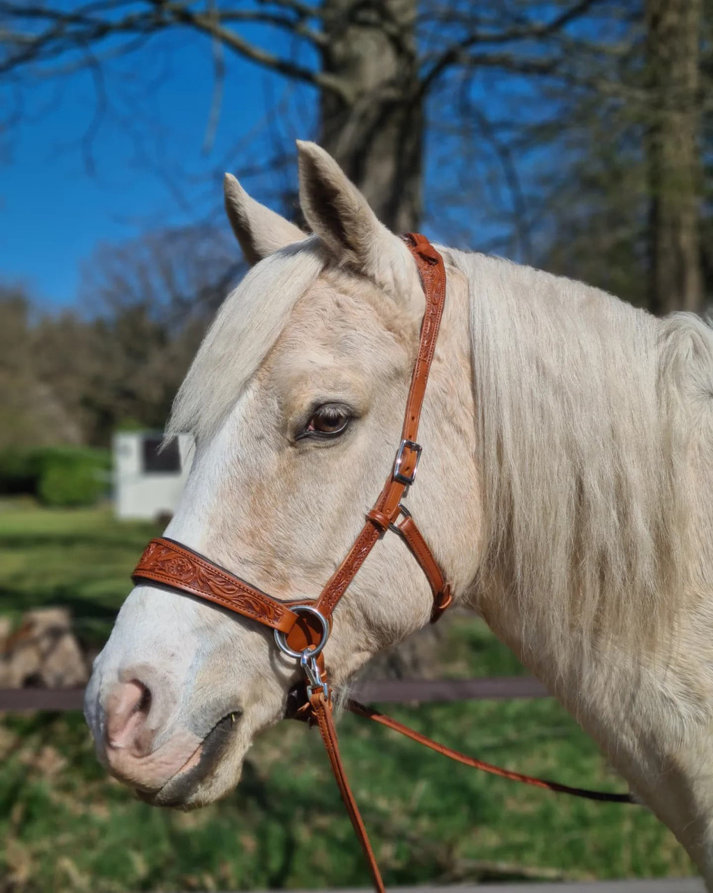 ED2 Side Pull Leather Bridle ROSE Collection