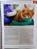Page sample