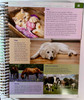 Page sample