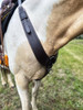 Pulling collar concept shown on a saddled horse Pulling collar concept shown on a saddled horse