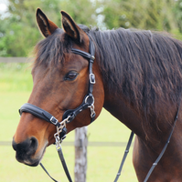 "Calli" Bitless Leather Hackamore Bridle