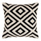 Miranda Black and White Geometric Pillow - SDO-003
20 x 20 inches
Acrylic, Cotton
