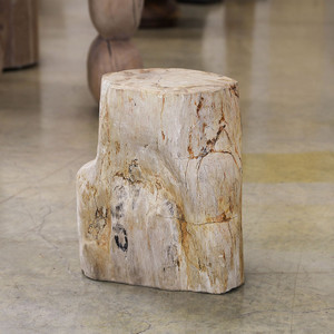 Petrified Wood Log Table S01
10 x 13 x 16 H inches