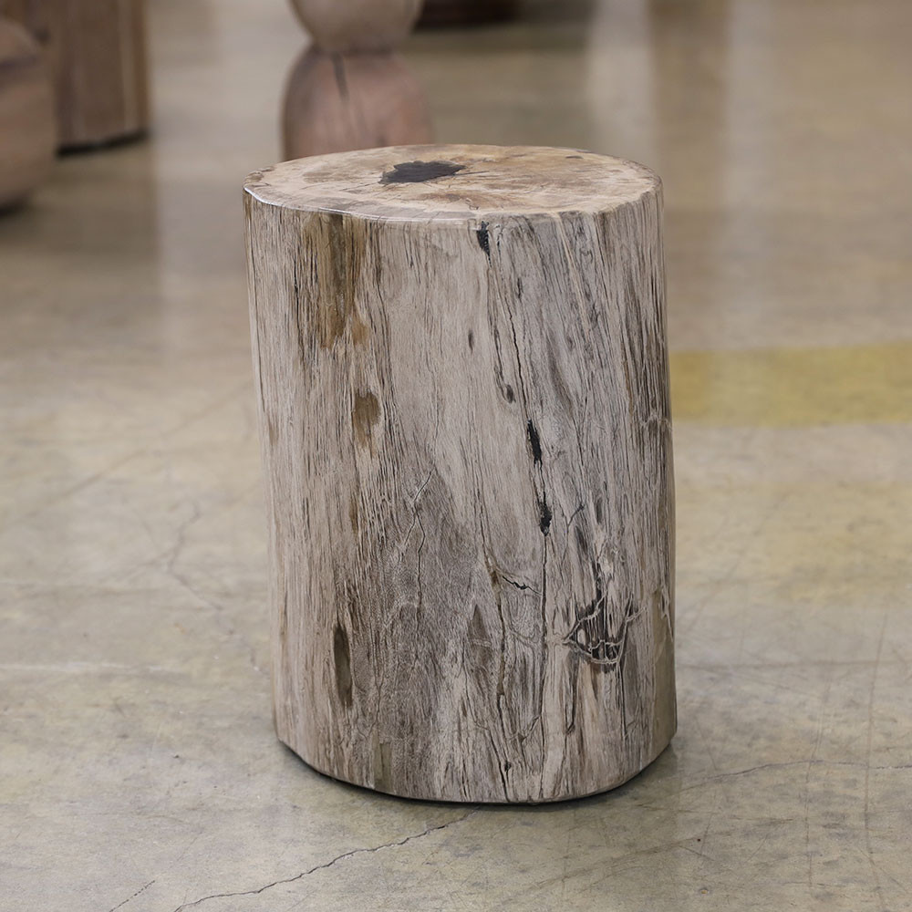 Petrified Wood Log Table S03
10 x 11 x 16 H inches Petrified Wood Log Table S03
10 x 11 x 16 H inches