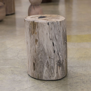 Petrified Wood Log Table S03
10 x 11 x 16 H inches