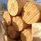 Logs Drying in Solar Kilns