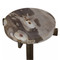 Minerva Petrified Wood Drink Table - ID120001
Petrified Wood Side Table
8 dia x 25 H inches Minerva Petrified Wood Drink Table - ID120001
Petrified Wood Side Table
8 dia x 25 H inches