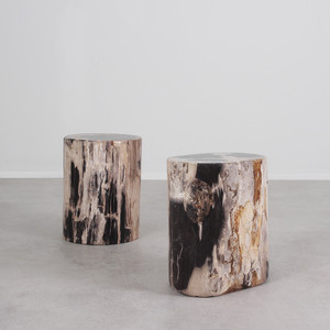 Genuine Dappled Petrified Wood Log Table
12 - 16 diameter x 16 - 17 H inches, each is unique expect variation