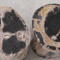 Genuine Dappled Petrified Wood Log Table
12 - 16 diameter x 16 - 17 H inches, each is unique expect variation