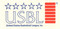 United States Basketball League Inc. stock certificate 2005 (summer league) - logo vignette