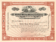 Buffalo Hump Mining Company stock certificate circa 1900 (New York)