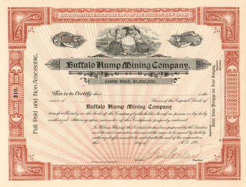 Buffalo Hump Mining Company stock certificate circa 1900 (New York)