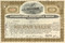 International Mercantile Marine Company stock certificate (owned the Titanic) - olive