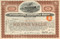 International Mercantile Marine Company stock certificate (owned the Titanic) - brown