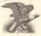 Indianapolis Stockyards Company stock certificate 1960's (livestock) - eagle vignette