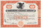 Harrisburg Railways Company stock certificate 1950s (Pennsylvania) 