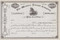 Western Transit Company  stock certificate circa 1884 (New York)