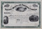 Niagara Mining and Smelting stock certificate circa 1890 (Utah)