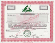 BrainyBrawn.com stock certificate circa 1999 (Delaware)