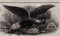Bank of America stock certificate 1857 (New York) - eagle vignette