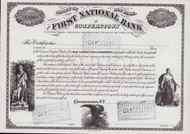 First National Bank of Cooperstown stock certificate c1901 (New York)