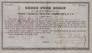 First National Bank of Cooperstown Trust Fund Scrip 1881 (New York)