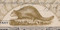Four Wheel Drive Auto Co. stock certificate 1917 bottom beaver vignette