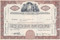Studebaker-Packard 1950's stock certificate - brown