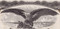 Virginia Gazette stock certificate 1935 (Williamsburg VA)  - eagle vignette