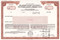 Delaware County Pennsylvania hospital bond certificate specimen c1983 (Philly metro) - brown