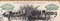 Acacia Gold Mining Company stock certificate 1899 (Cripple Creek Colorado) - gold border - fancy nameplate