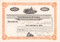 Central Pennsylvania Oil Company stock certificate 1919 (Reading Pennsylvania)