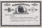 Brainerd Water Co stock certificate circa 1883 (Minnesota)