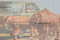 Lion Country Safari stock cert close-up of lion vignette