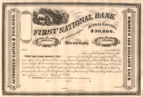 First National Bank at Lodi Ohio stock certificate circa 1881