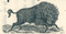 Buffalo Steam Pump Company circa 1889 stock certificate  vignette with running buffalo.